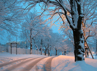 Beautiful snow