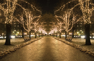Christmas Lights