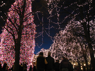 Christmas decorated lights