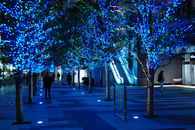 Blue xmas decorations