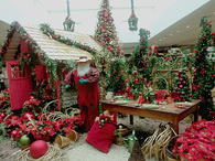Decoration shop
