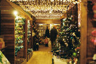Christmas decoration store