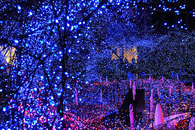 Christmas lights decorations