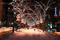 Christmas light trees