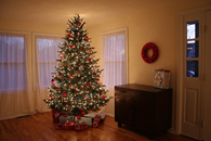 Living room christmas tree