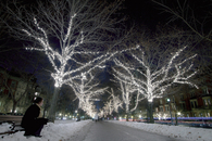 White lights