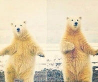 Friday tomorrow