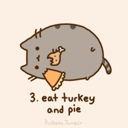 Eat turkey and pie