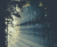 A solitude reminder