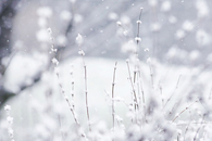 Snow, winter