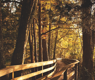 The bridge to nowhere