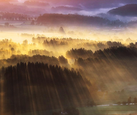 Rays of sunshine