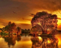 Gorgeous Fall Sunset