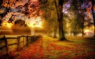 Misty Fall Day