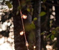 String of lights 