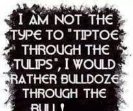 bulldoze through bull