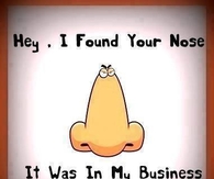 i found your nose