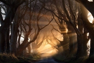 In The Break Of Dawn!!!