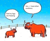 frozen