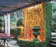 Hang twinkling lights