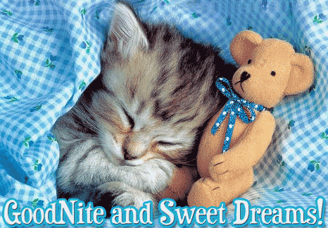 Goodnite Sweet Dreams