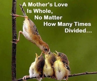 a mothers love