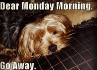 Dear Monday Morning