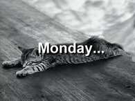 Monday
