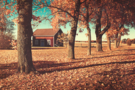 Little barn in the country