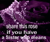 share this rose if you have a sister