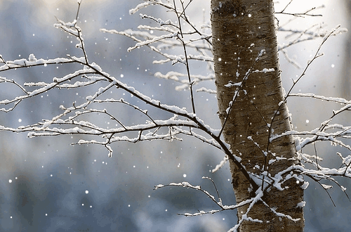 Snow flurries