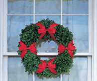 Four bow Wreath 