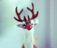 Rudolph The Red glitter nose reindeer