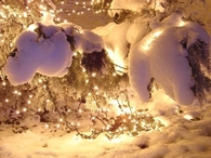 Winter snow