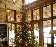 Skinny christmas tree