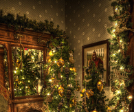 Bright Christmas Tree