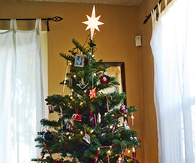 Christmas Tree Ornaments