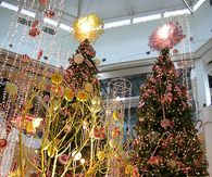 Christmas Trees