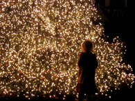 Christmas lights