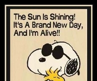 happy wednesday