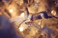 Reindeer Ornament
