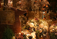 Reindeer decorations