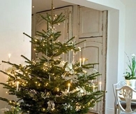 Simple Christmas tree