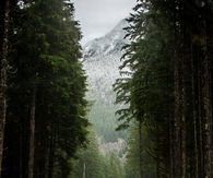 The mountain road