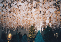 Snowflake decorations