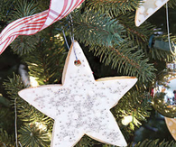 Sparkly star cookie