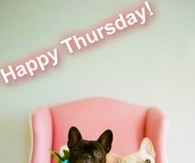 Happy Thursday