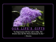 Our Life's Gifts