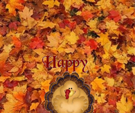 Happy Thanksgiving