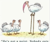 Turkeys in disguise